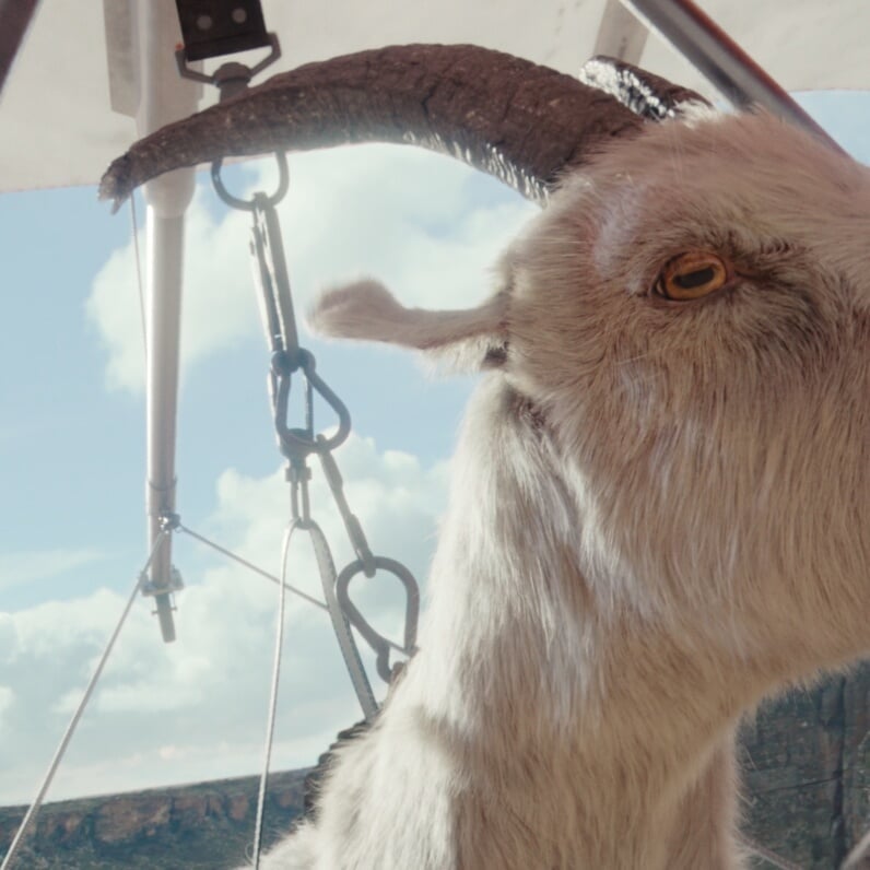 Integrated Advertising Campaign for Virgin Media O2 WiFi Guarantee