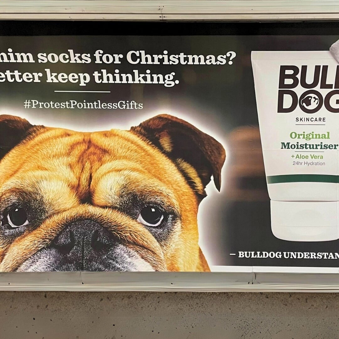 Christmas Media Campaign for Bulldog Skincare