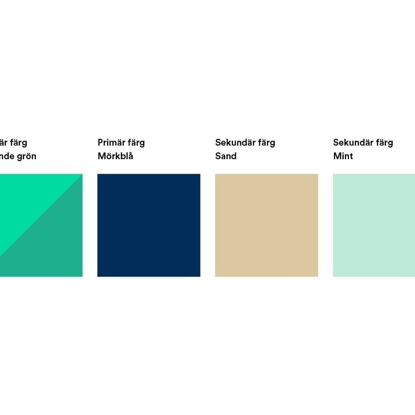 Logo and Visual Identity for Pic a Pike App