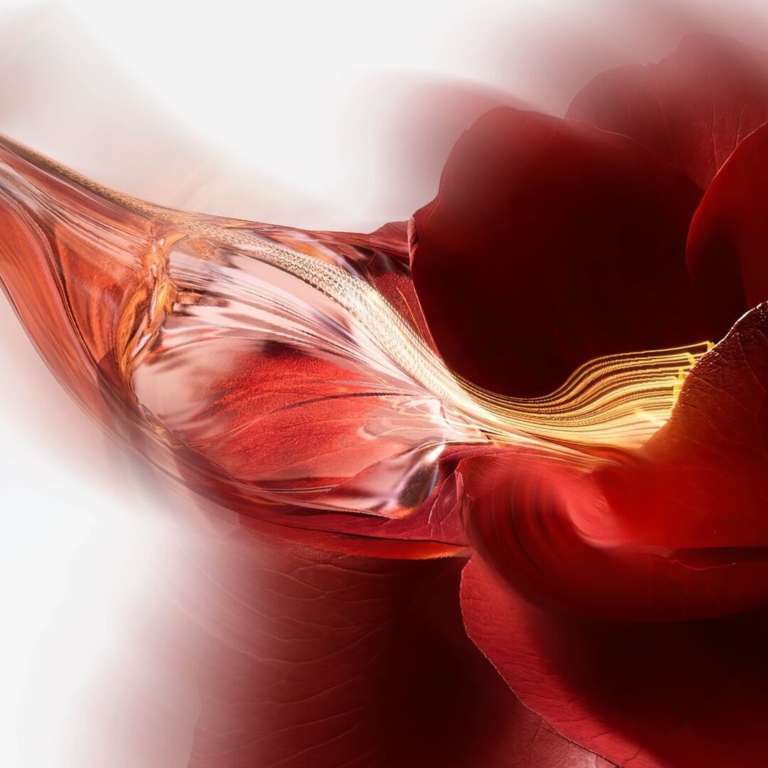 CGI Campaign Visuals for Shiseido Ultimune