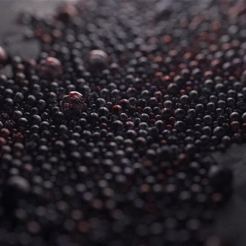 Experimental Motion Design for Flow/er Visual Poem