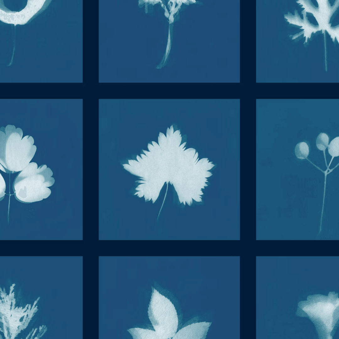 Visual Identity for Community Gardening Collective Grow to Know