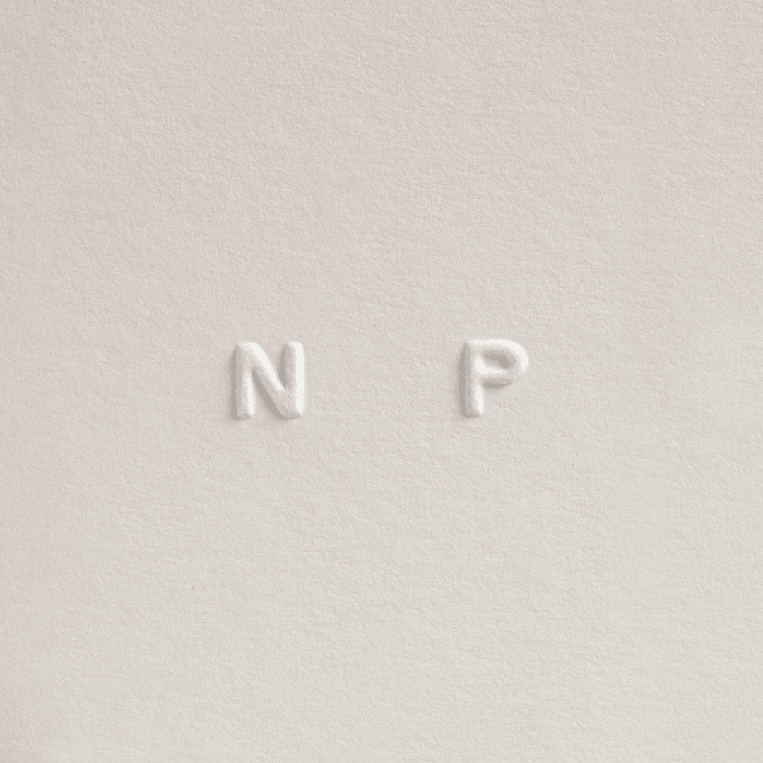 Branding and Website Design for Niccolò Pasqualetti