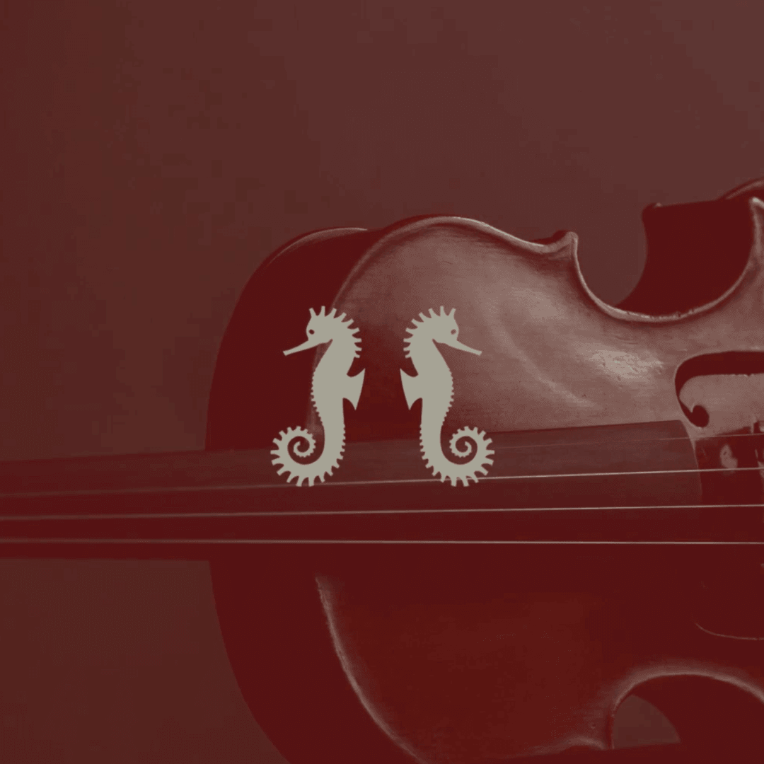 Identity and Website for Rare Violins of New York