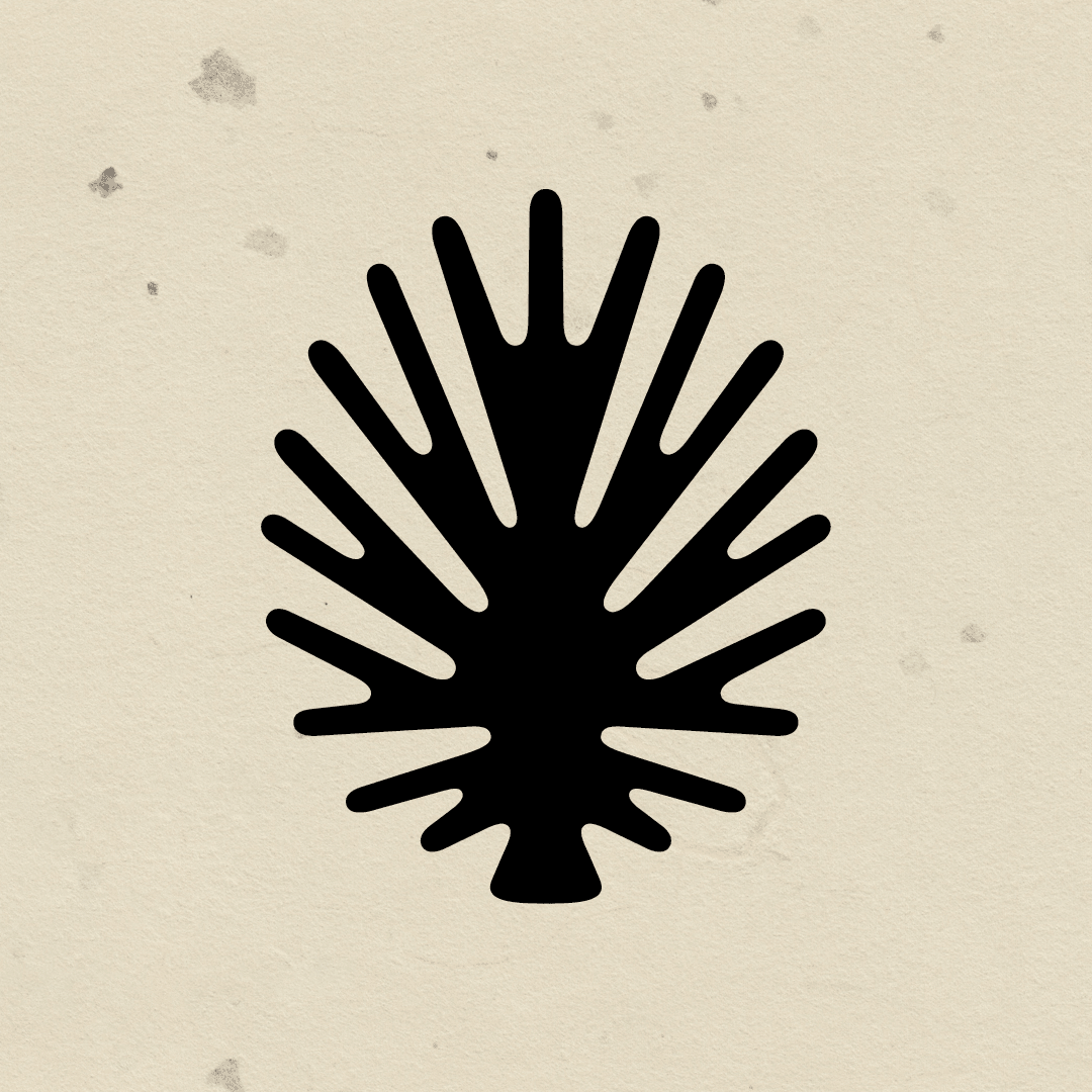 Brand Identity for Maison Sipulova