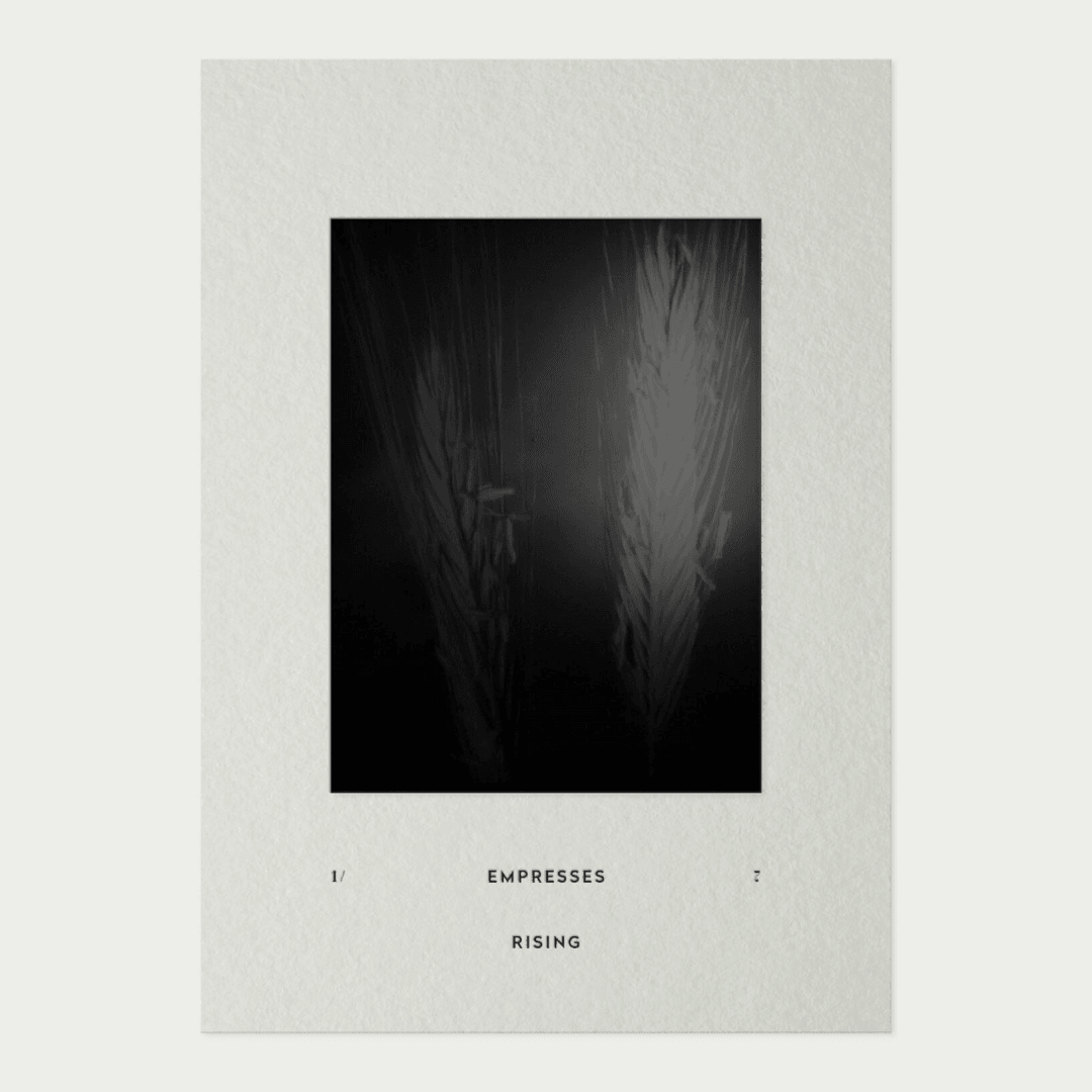 Photography and Printed Matter for Unfurling