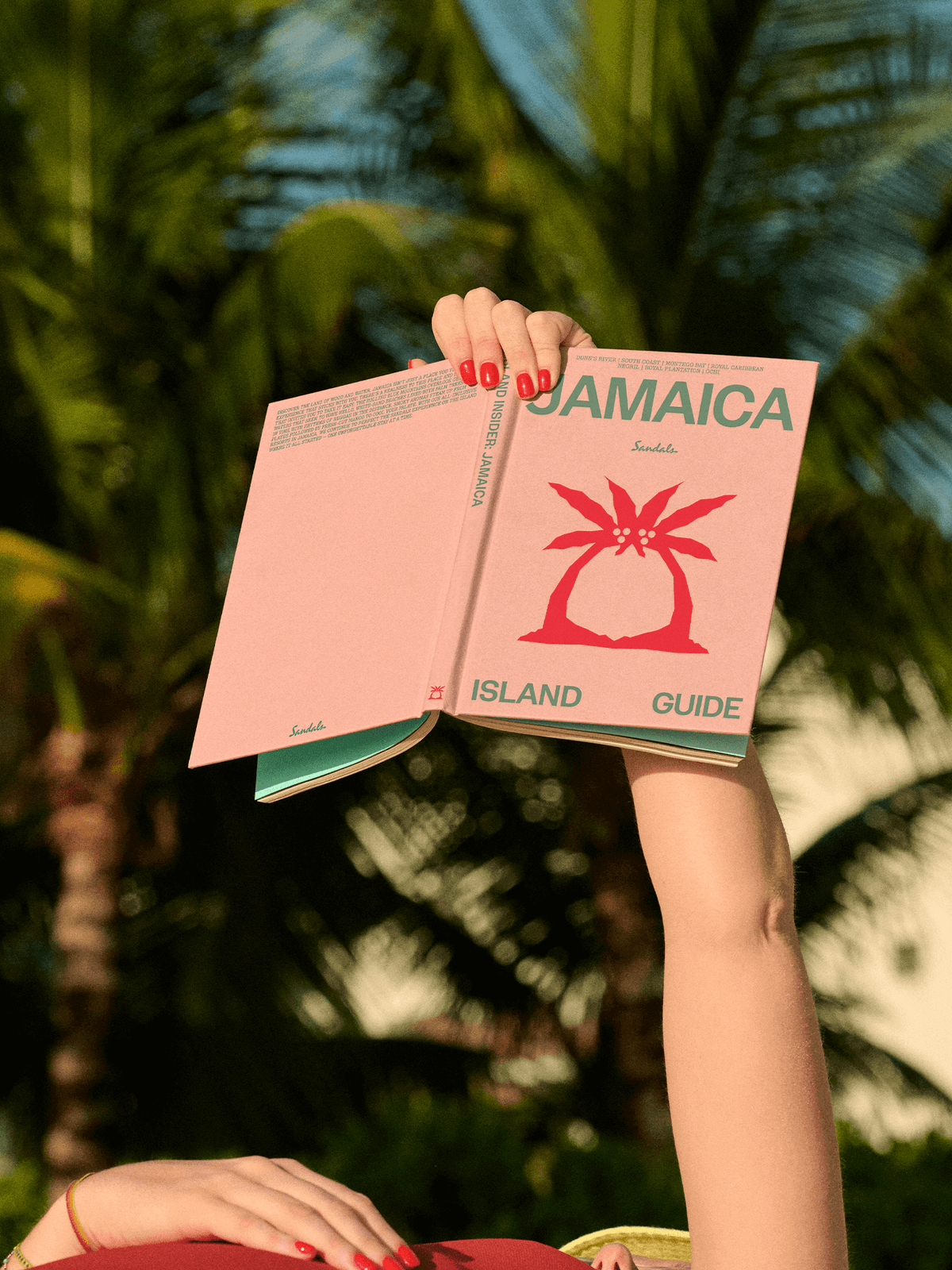 Brand and Environmental Redesign for Sandals and Beaches Resorts