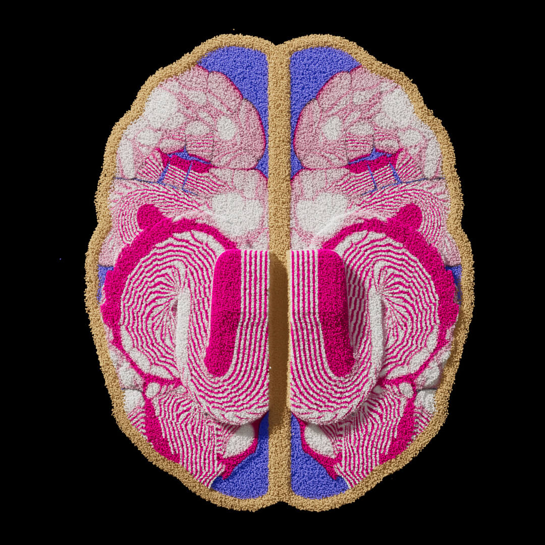 Motion Exploration for Consciousness Study