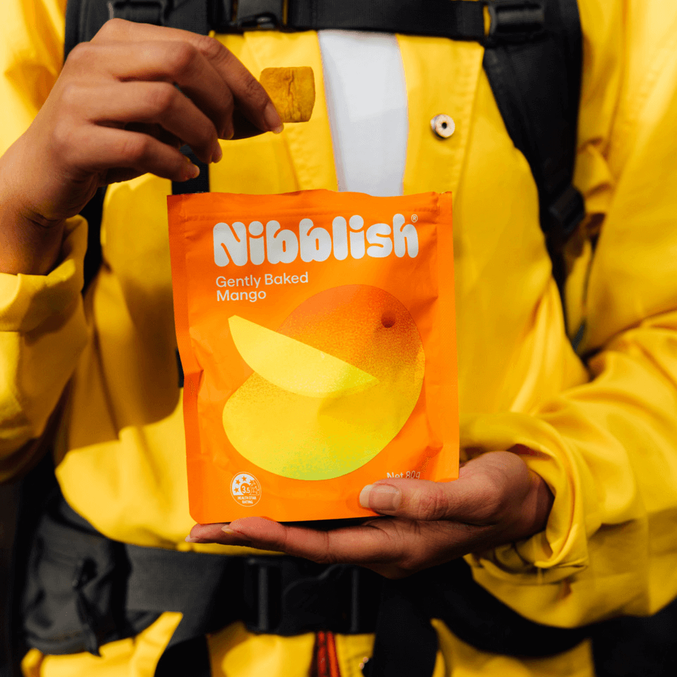 Packaging Design for Nibblish Snack Brand