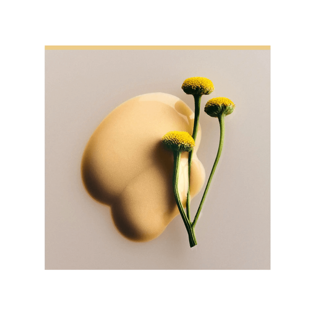 Brand strategy, identity, and packaging for Elm Biosciences
