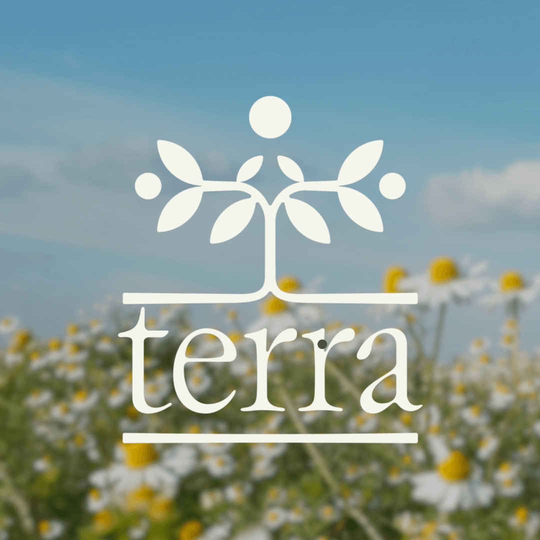 Brand Identity for Terra Solutions