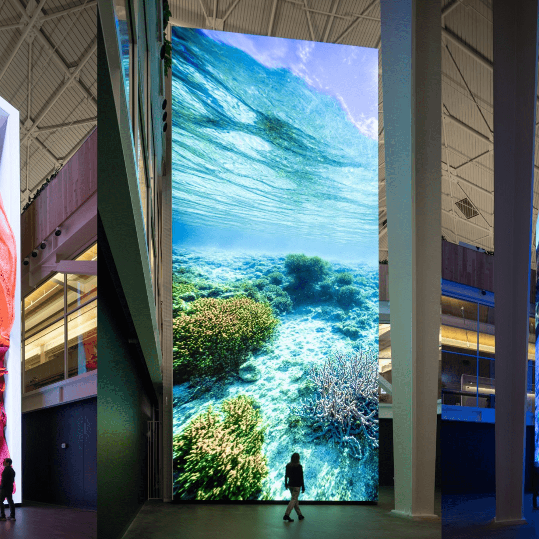 Immersive AI Installation for Google’s Charleston East Campus