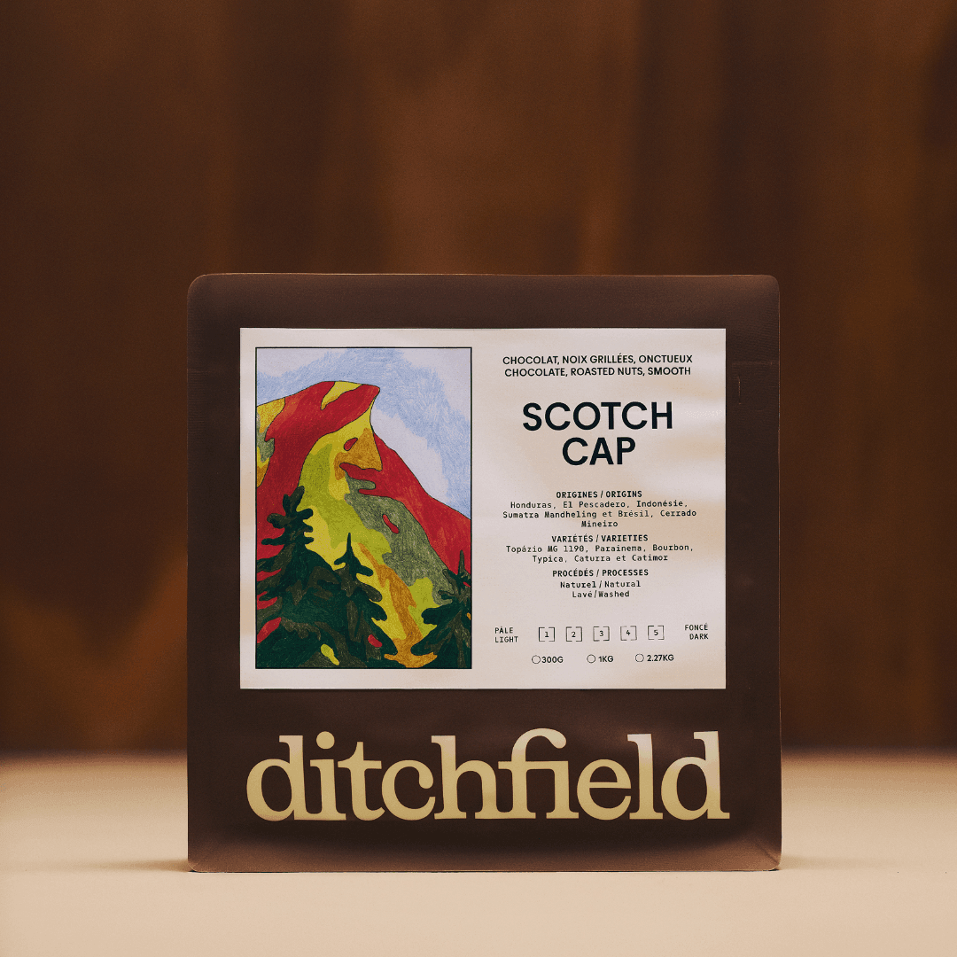 Brand Identity for Ditchfield Microtorréfacteur