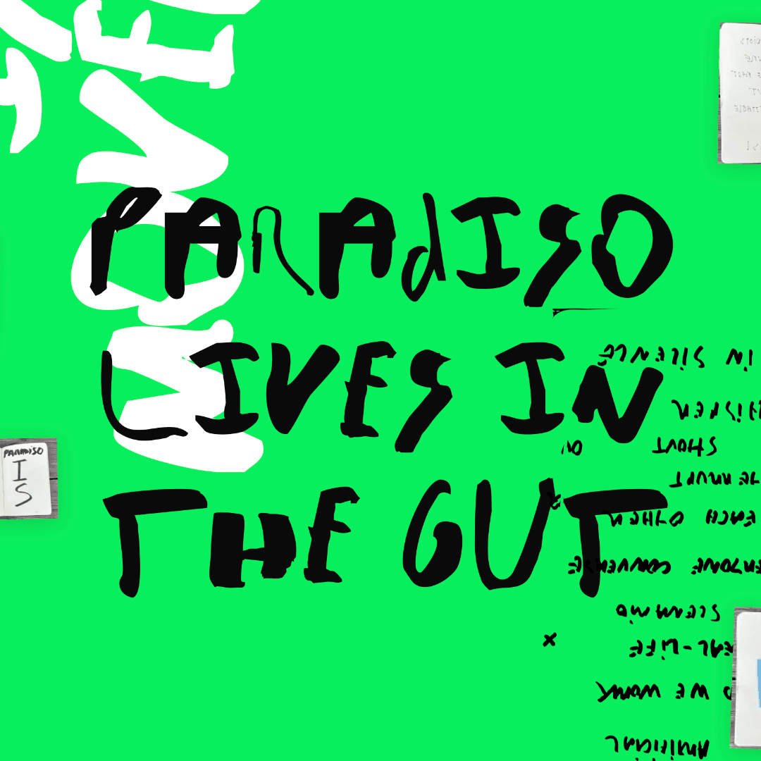 Cultural Identity and Movement Design for Paradiso Institute
