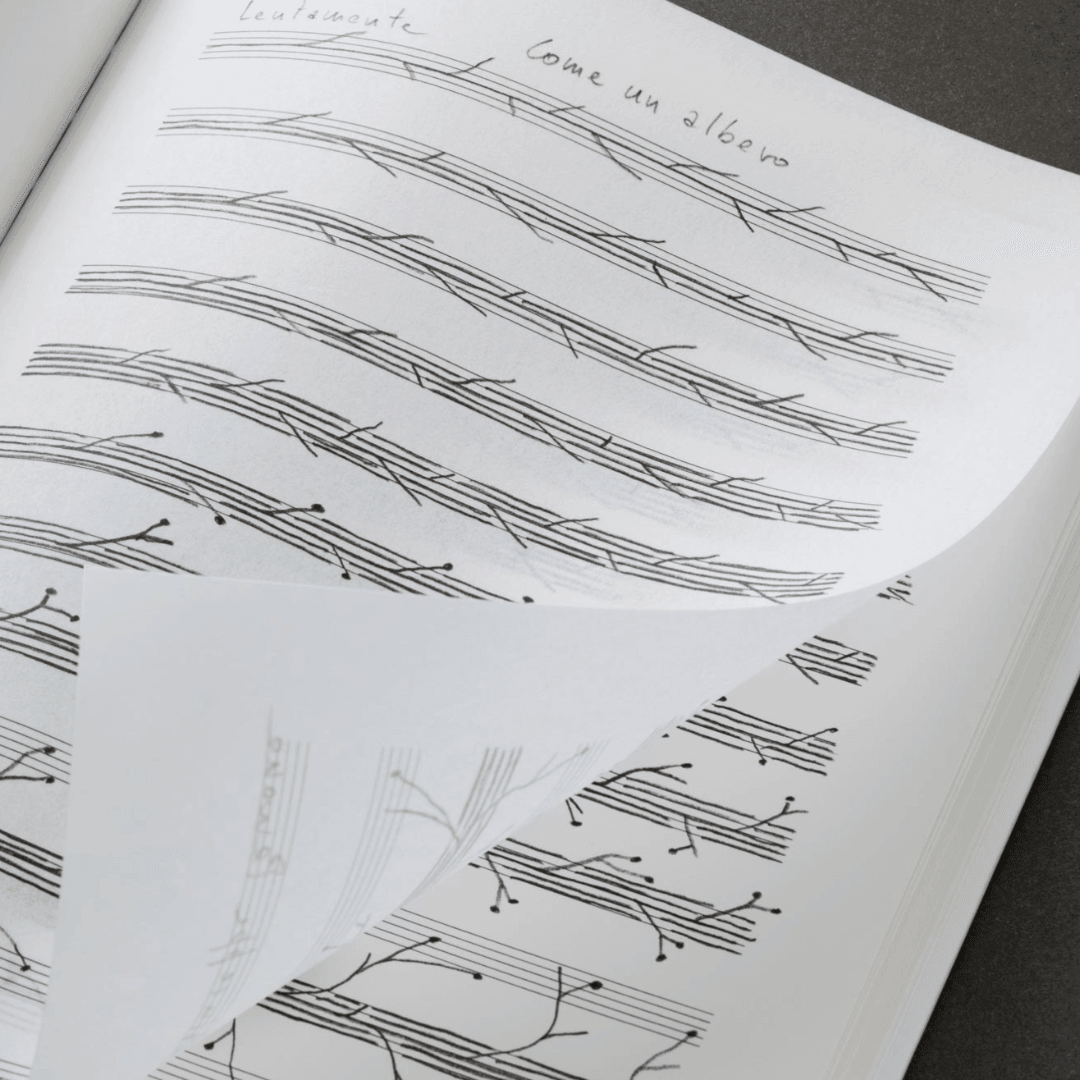 Editorial Design for Giuseppe Penone Exhibition Catalogue