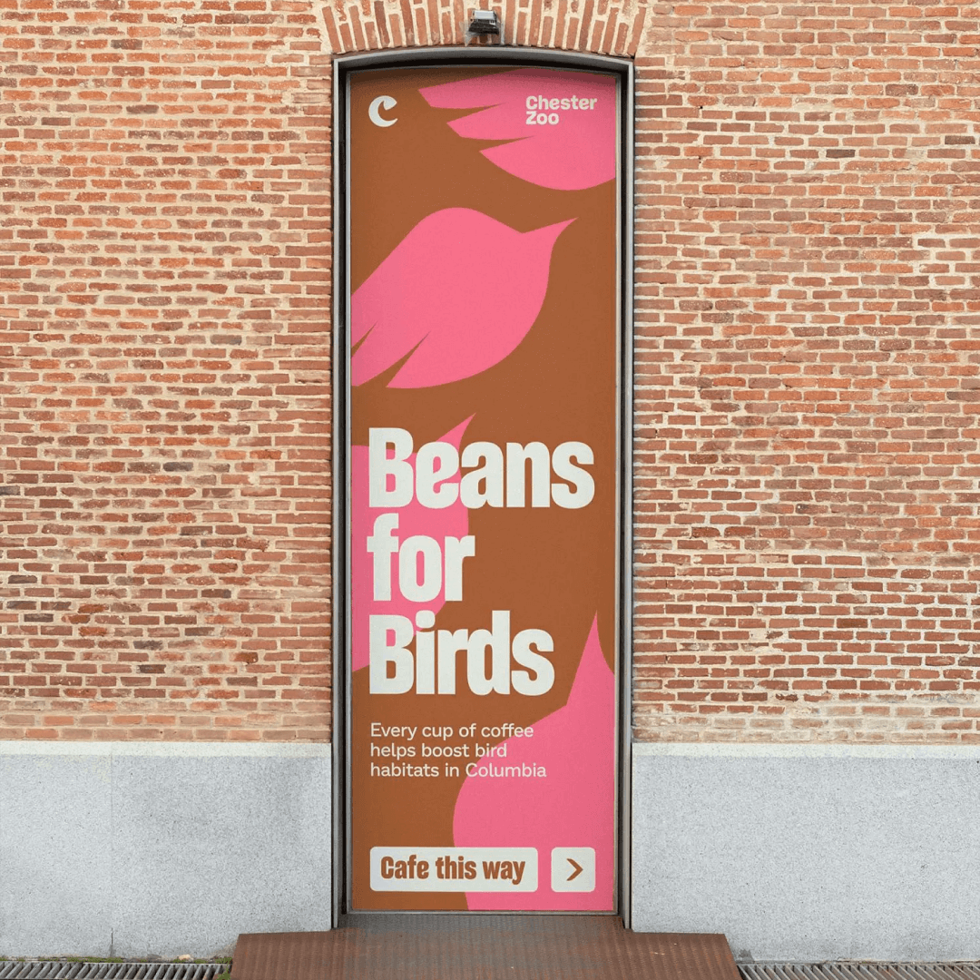 Rebrand and Website Design for Chester Zoo