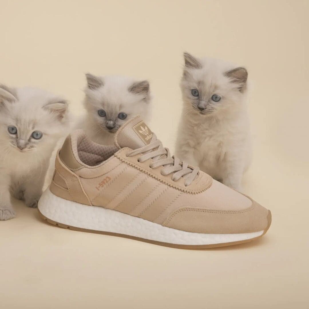 Campaign Film And Set Design For Sneakersnstuff And Adidas Collaboration