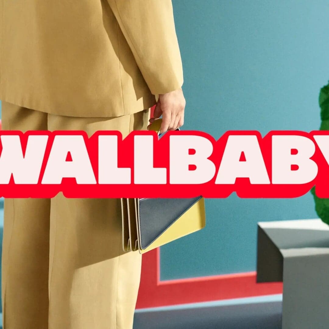 Naming And Visual Identity For Wallbaby