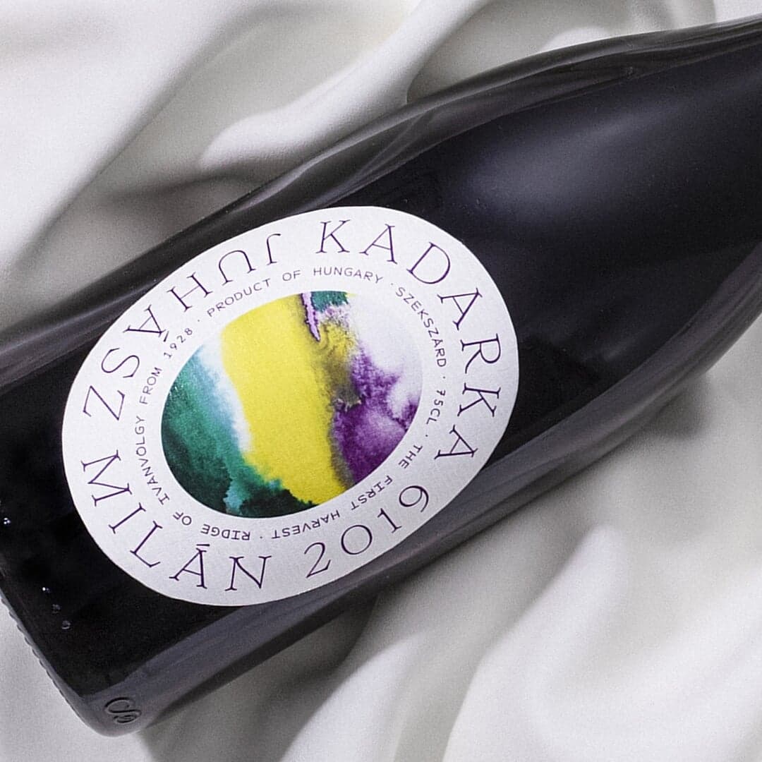 Website Design And Development For Bánáti & Hartvig Architecture