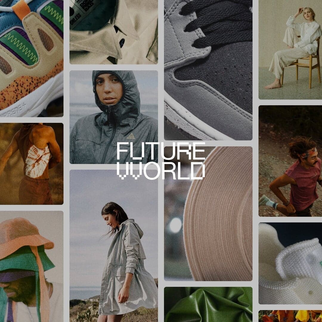 Brand Identity And Website For Futurevvorld