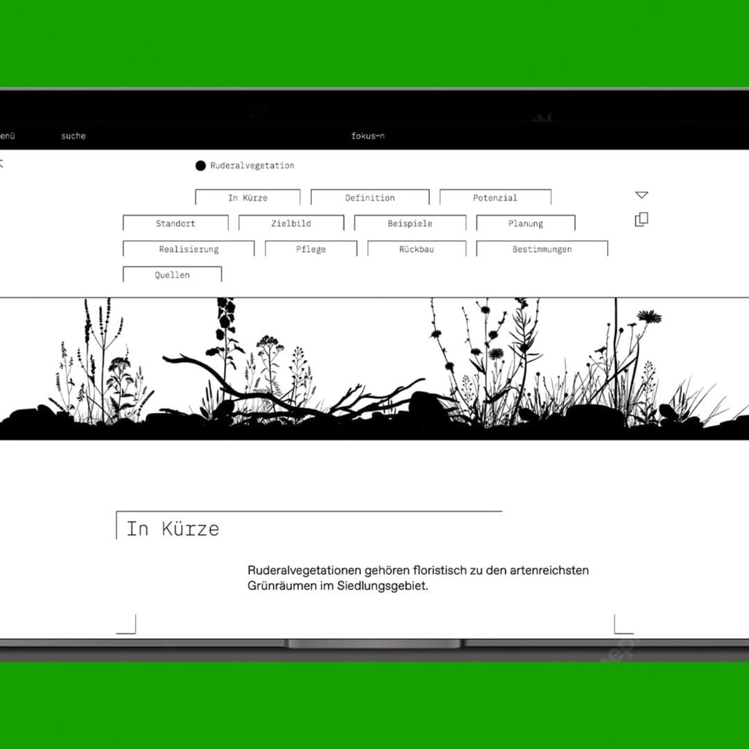 Digital Platform Design For Zhaw Fokus-n Knowledge Portal