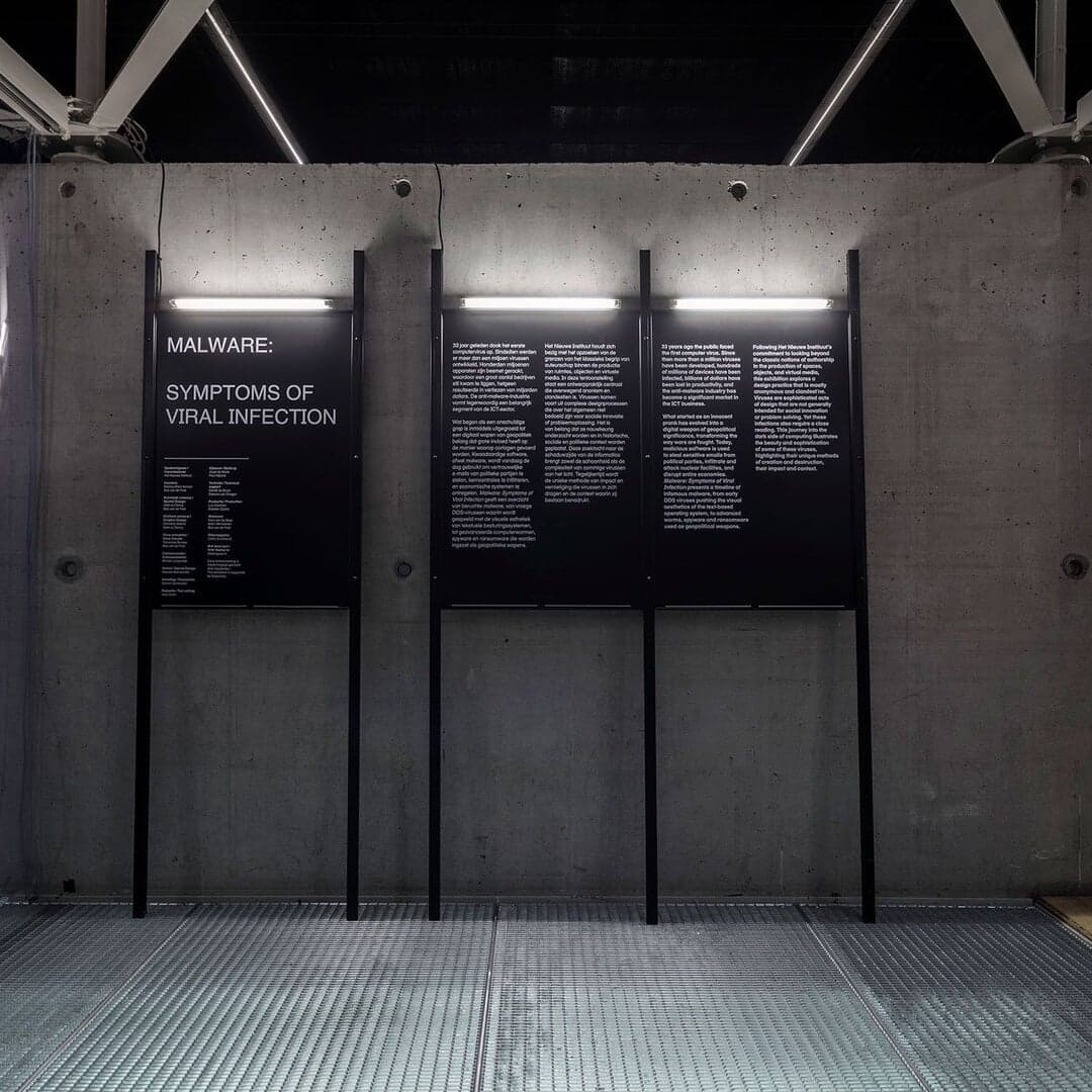 Speculative Digital Installation For Malware