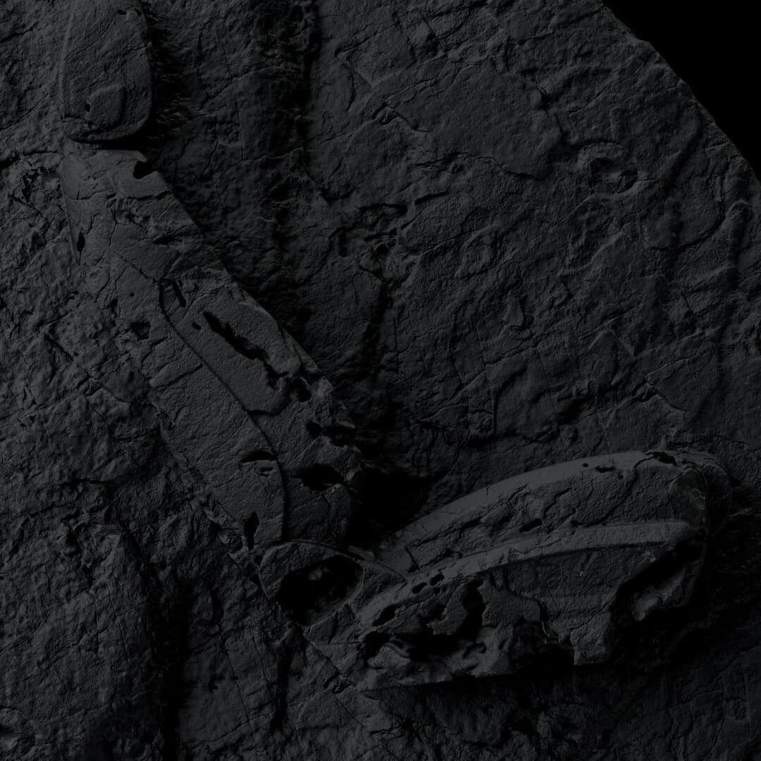 Speculative Digital Realities For Tomorrow Bureau