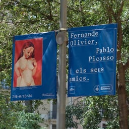 Exhibition Design and Museography for Museu Picasso cover image