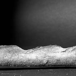 Agda - The Company You Keep design work cover image