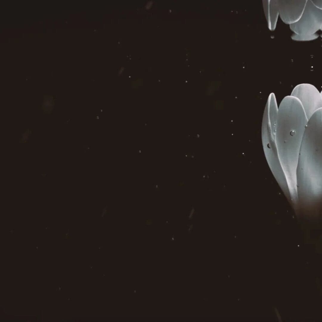 3d Motion Reel For Hingston Studio