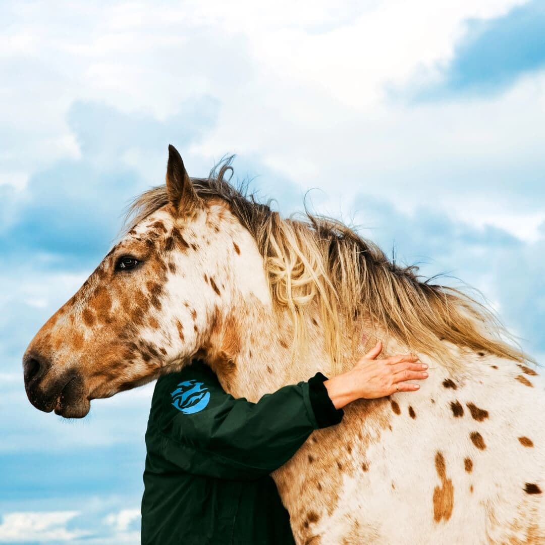 Global Rebrand For The Humane Society