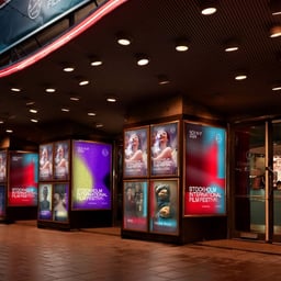 Visual Identity for Stockholm International Film Festival 2024 cover image