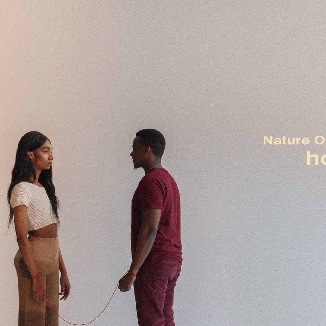 Brand Identity For Noyd