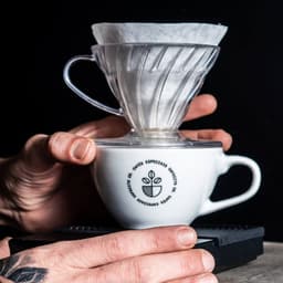 Cafecito Co. - cèu design work cover image