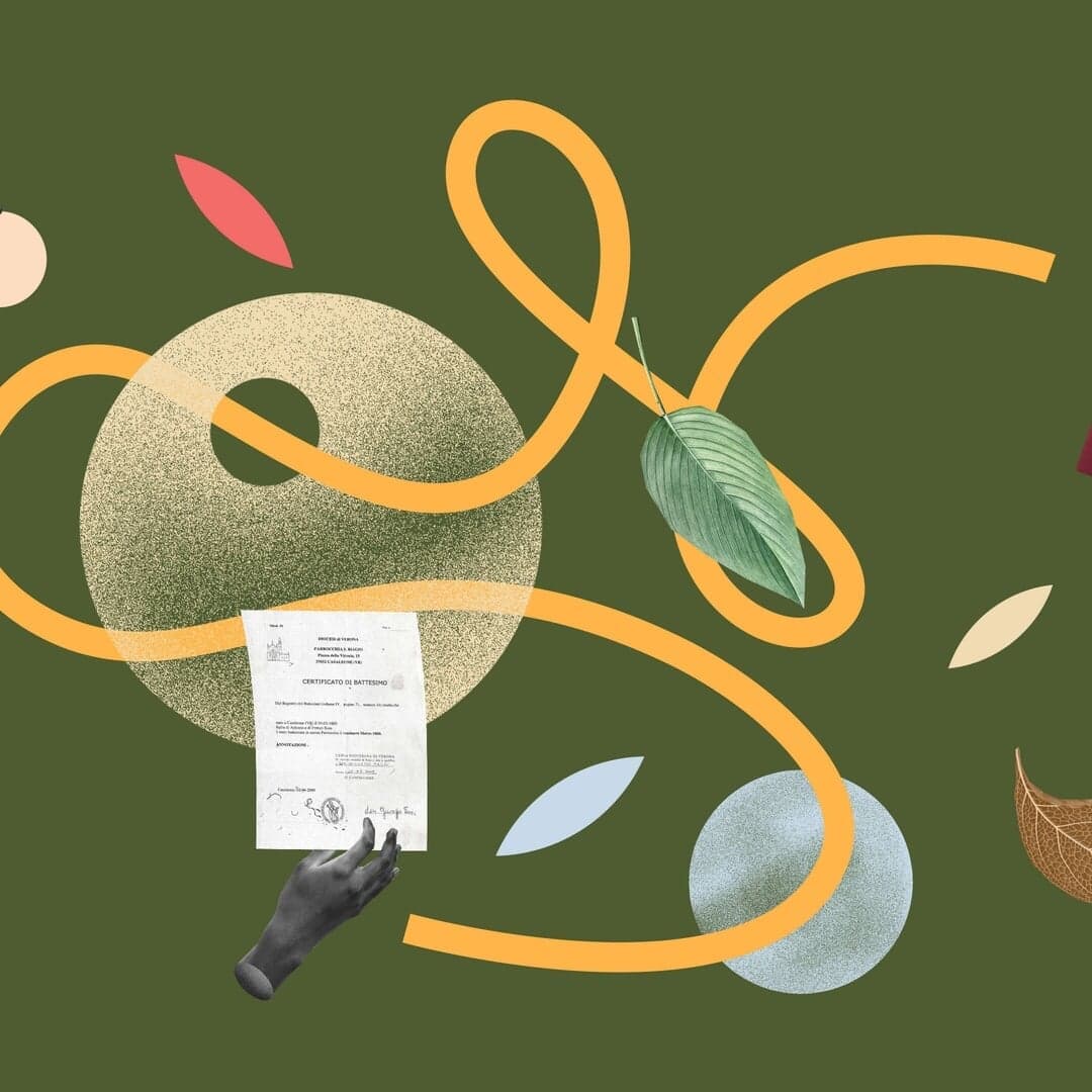 Visual Identity And Illustration For Dante Cidadania Italiana