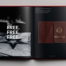 Book Design For Marina Abramović: A Visual Biography cover image