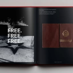 Book Design for Marina Abramović: a Visual Biography cover image