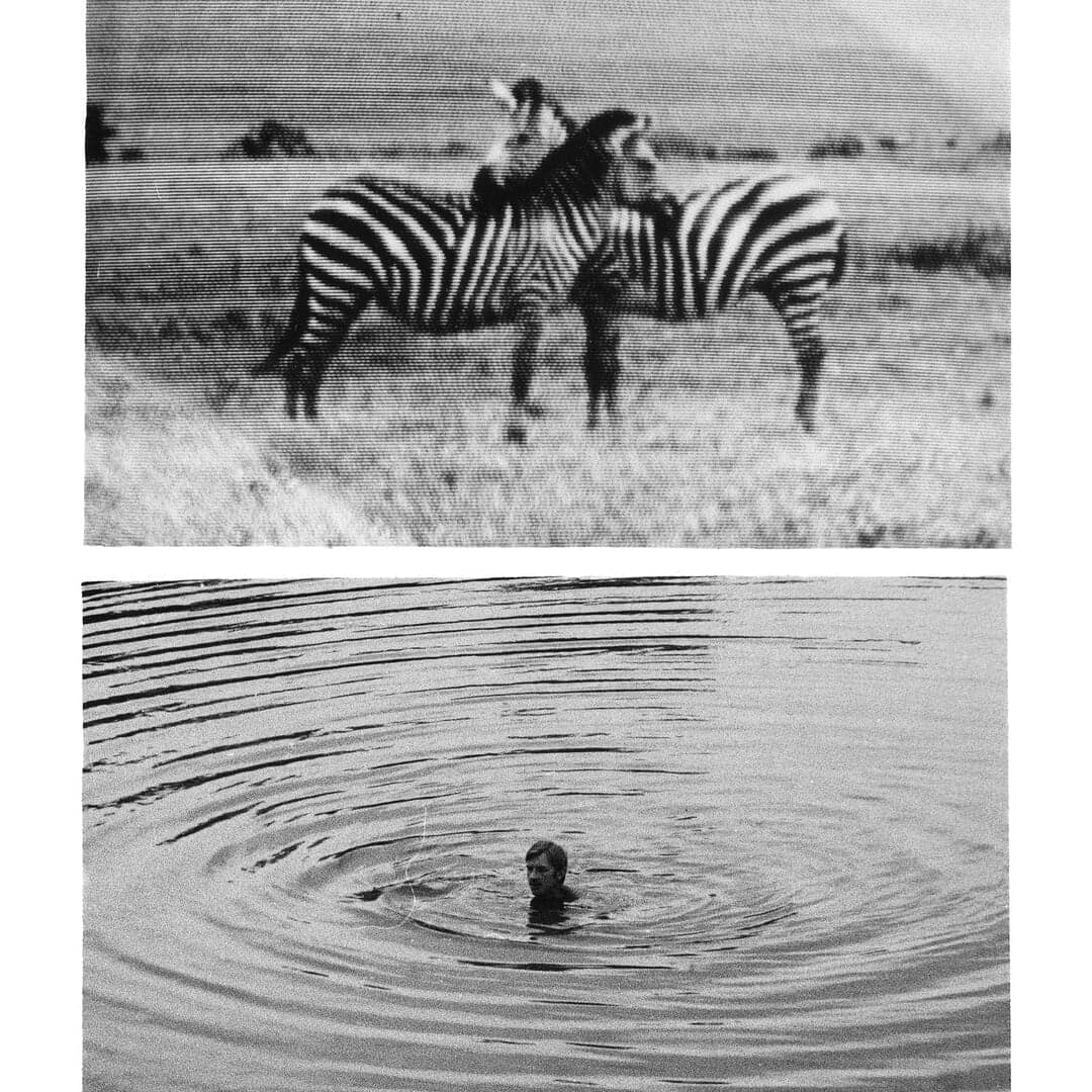 Print Series For Benign Duplicates Archive