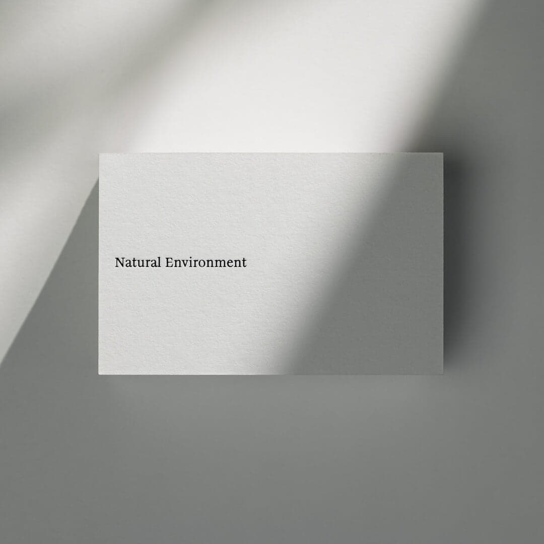Identity And Website For Natural Environment