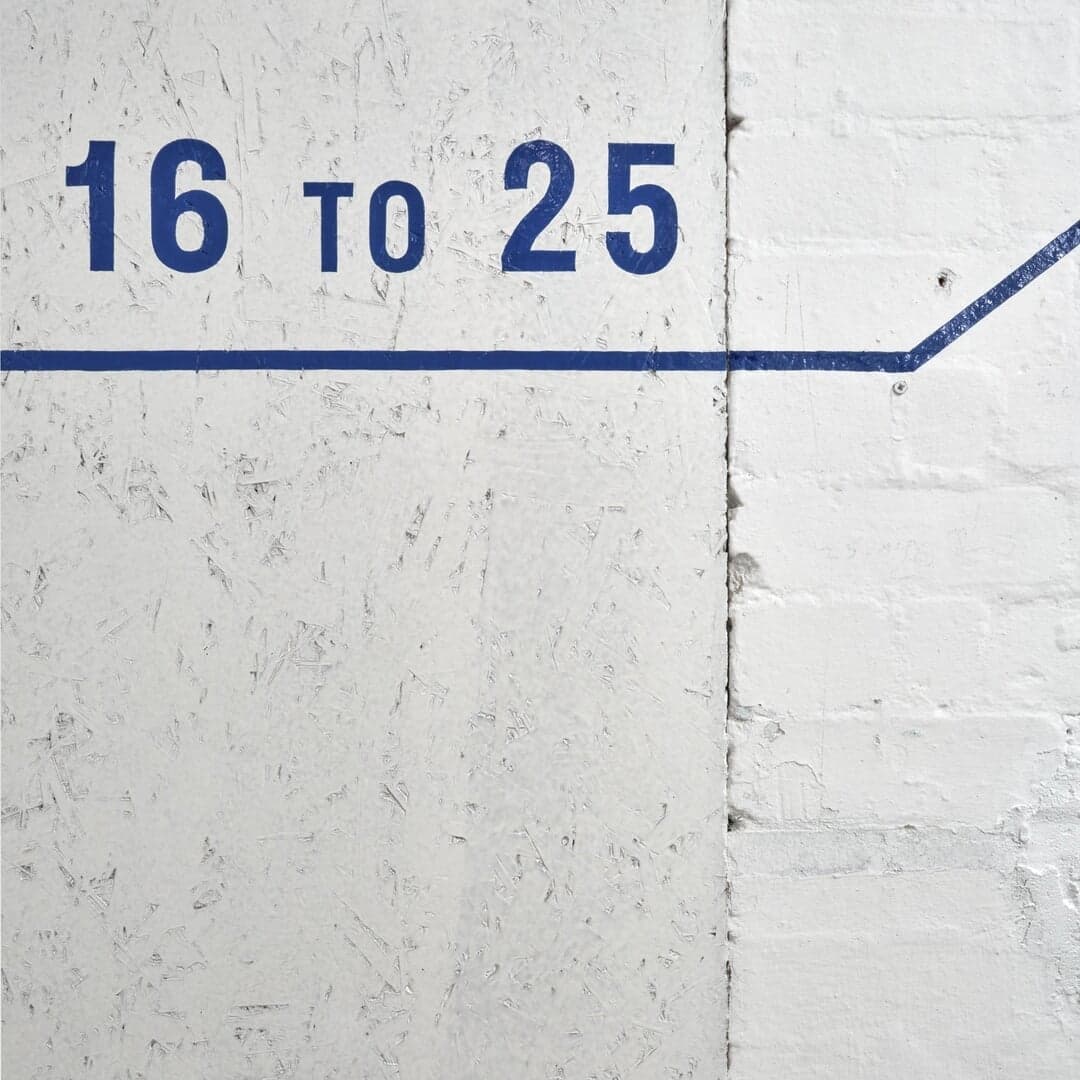 Identity And Website For Studio Voltaire