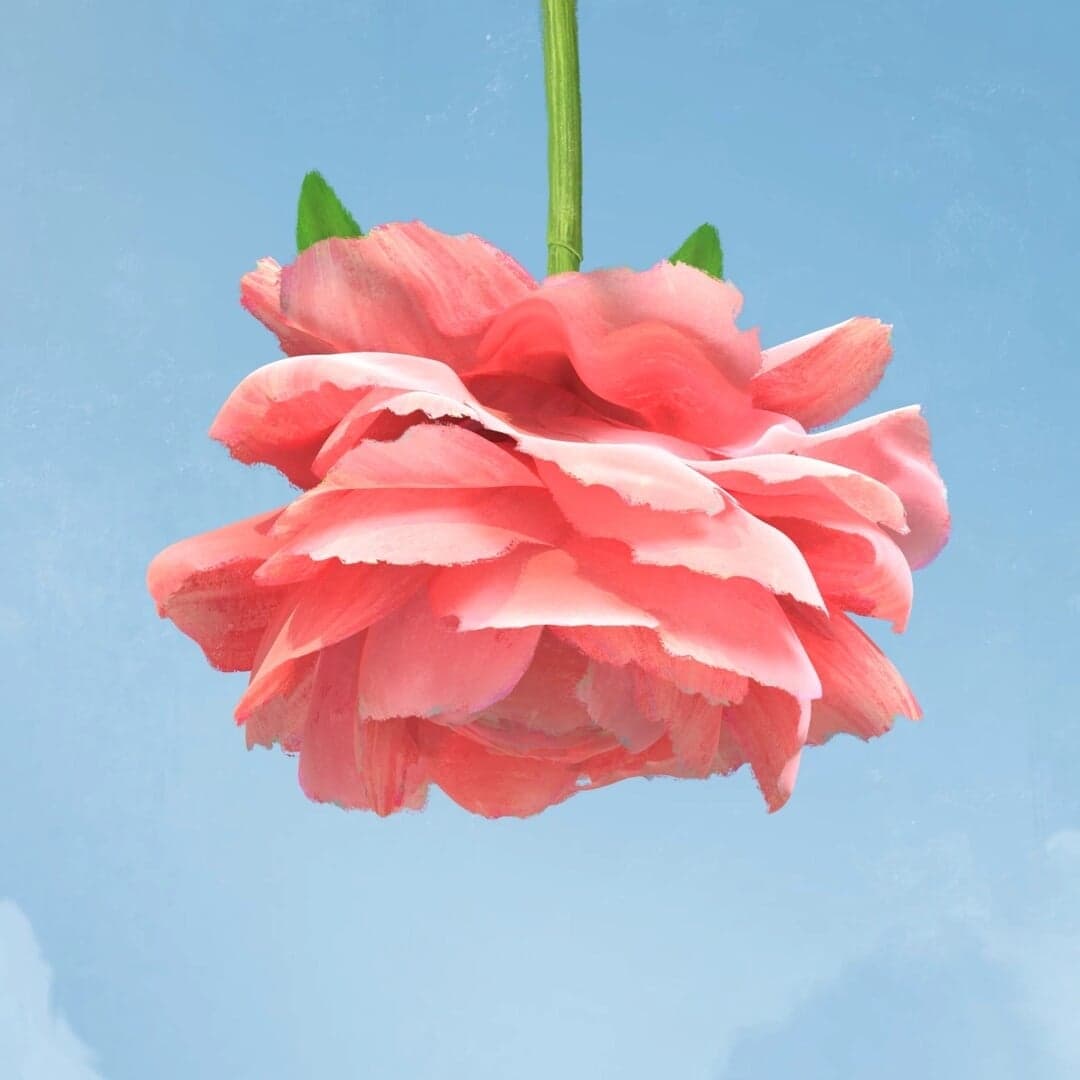 Film And Motion Campaign For Thorne Healthy Aging