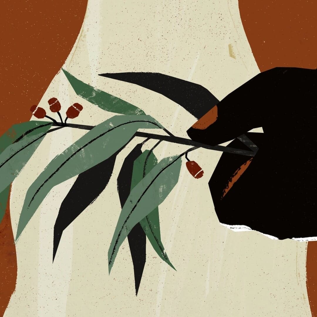 Motion Piece For Iyoria Aboriginal Elders Estate