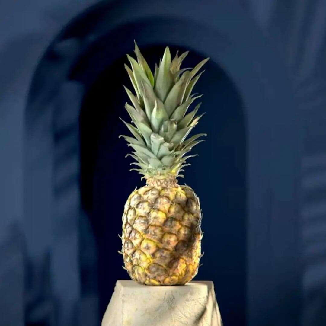 Brand And Packaging Design For Dutch Rummers Rum Range