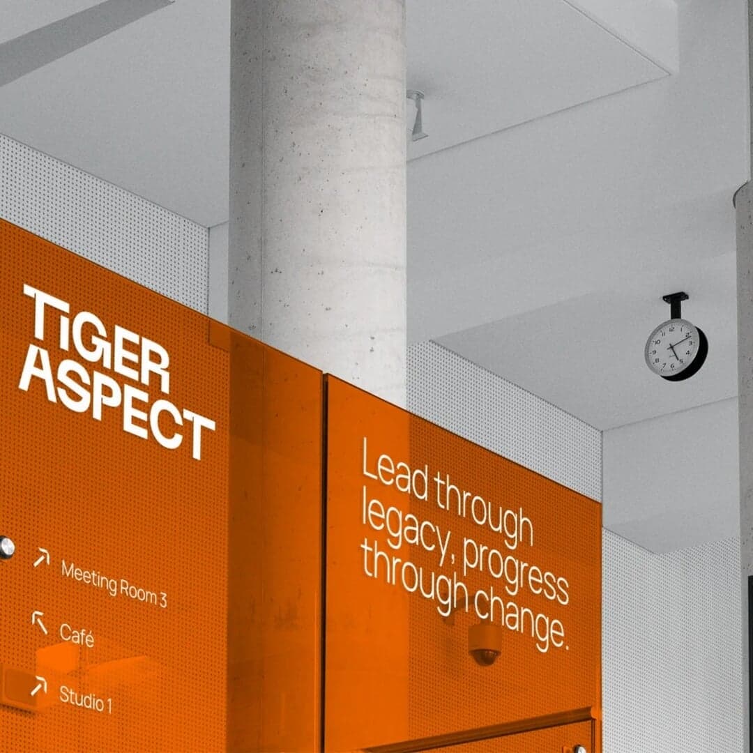Brand And Website Redesign For Tiger Aspect