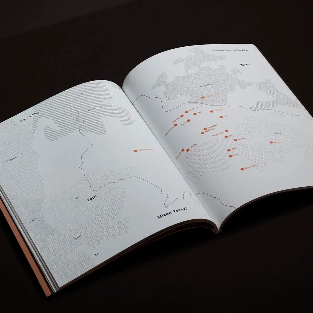 Editorial Design For Ethiopian Forest Coffee Atlas