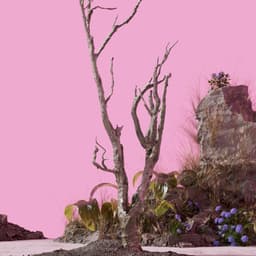 Design Case - Cameron Fernandes design work cover image