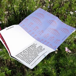 Arctic Paper - Juno design work cover image