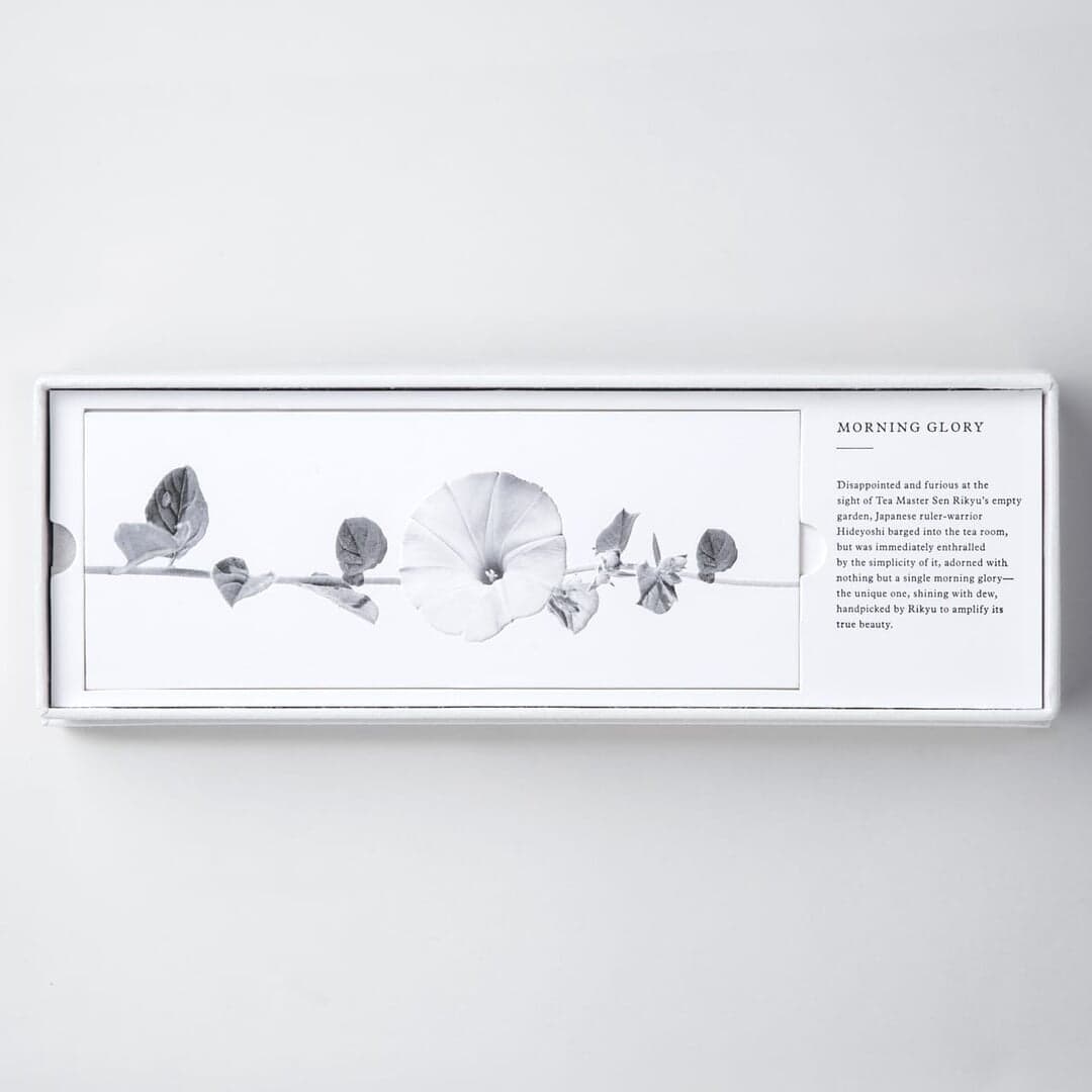 Packaging Design For The Pavilia Hill Party Invitation