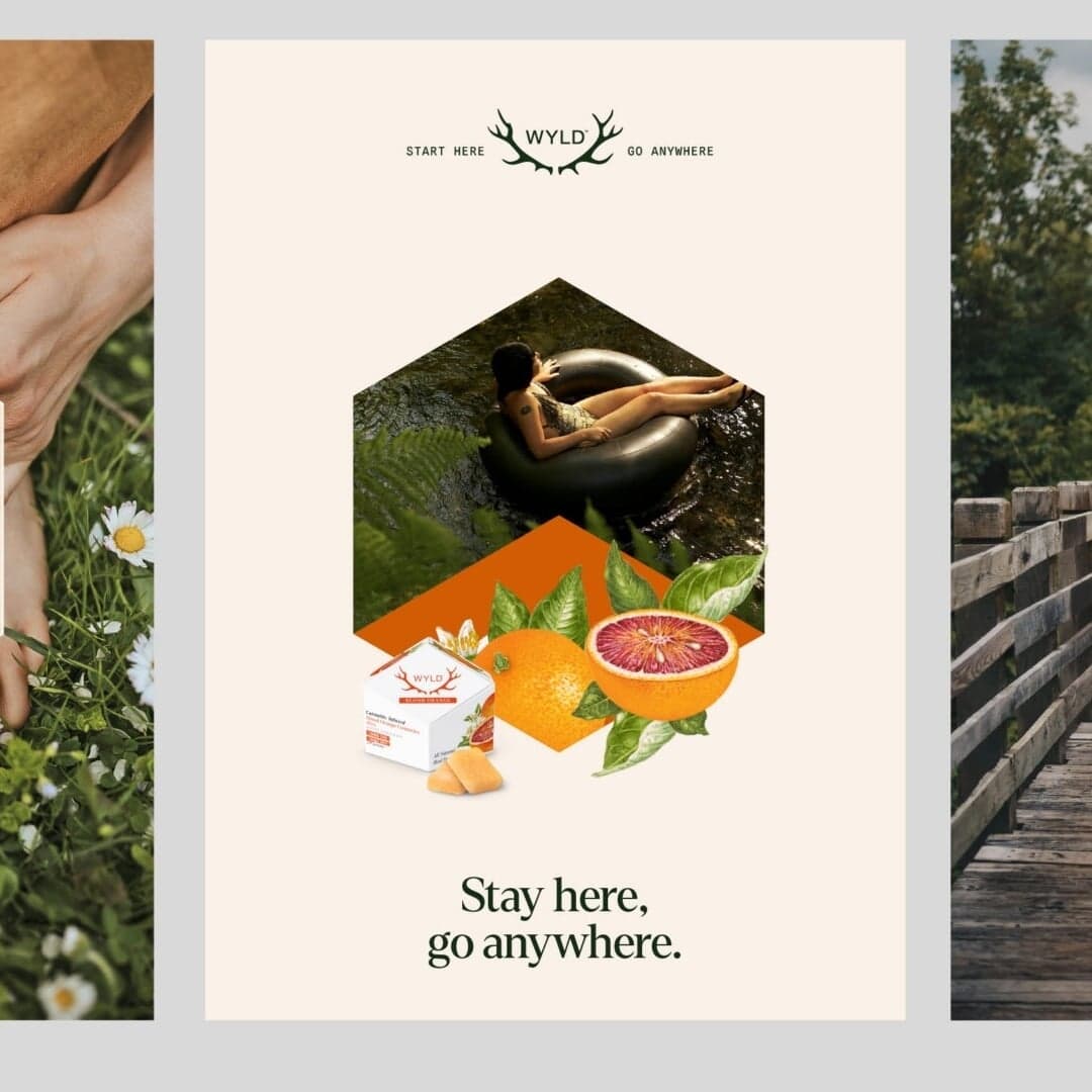 Annual Campaign And Experience Design For Wyld Canna