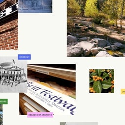 Brand Identity and Website for Britt Music & Arts Festival cover image
